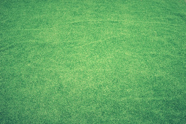 Yeniceköy’de Yeşil Alanlar ve Park Projeleri Yeniceköy’de Yeşil Alanlar ve Park Projeleri